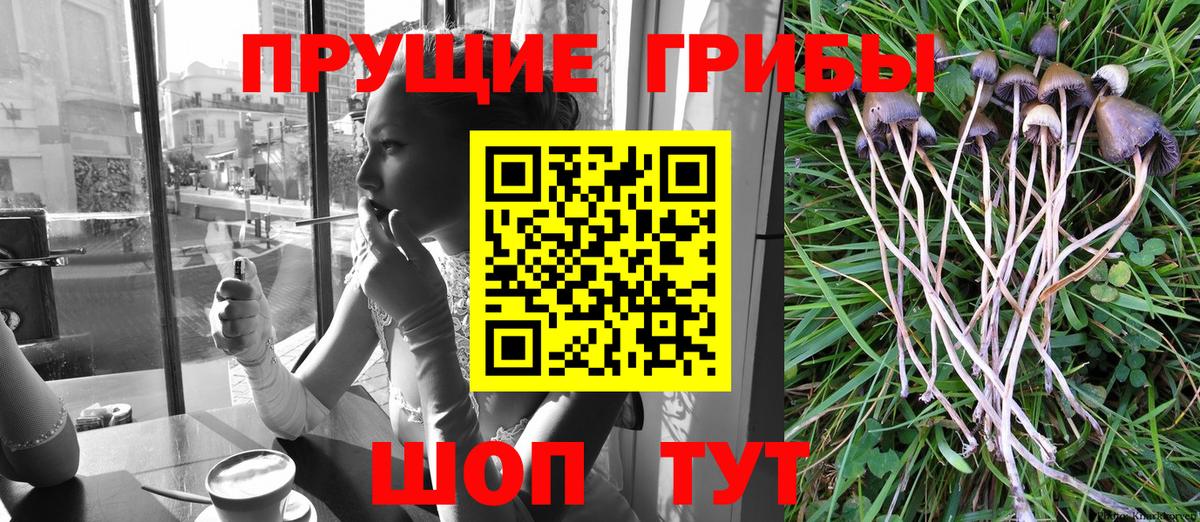 Псилоцибиновые грибы прущие грибы Алушта