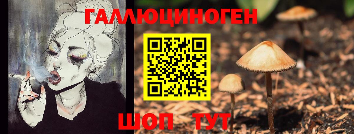 где продают наркотики  Псилоцибиновые грибы MAGIC MUSHROOMS  Вход с VPN  Алушта 